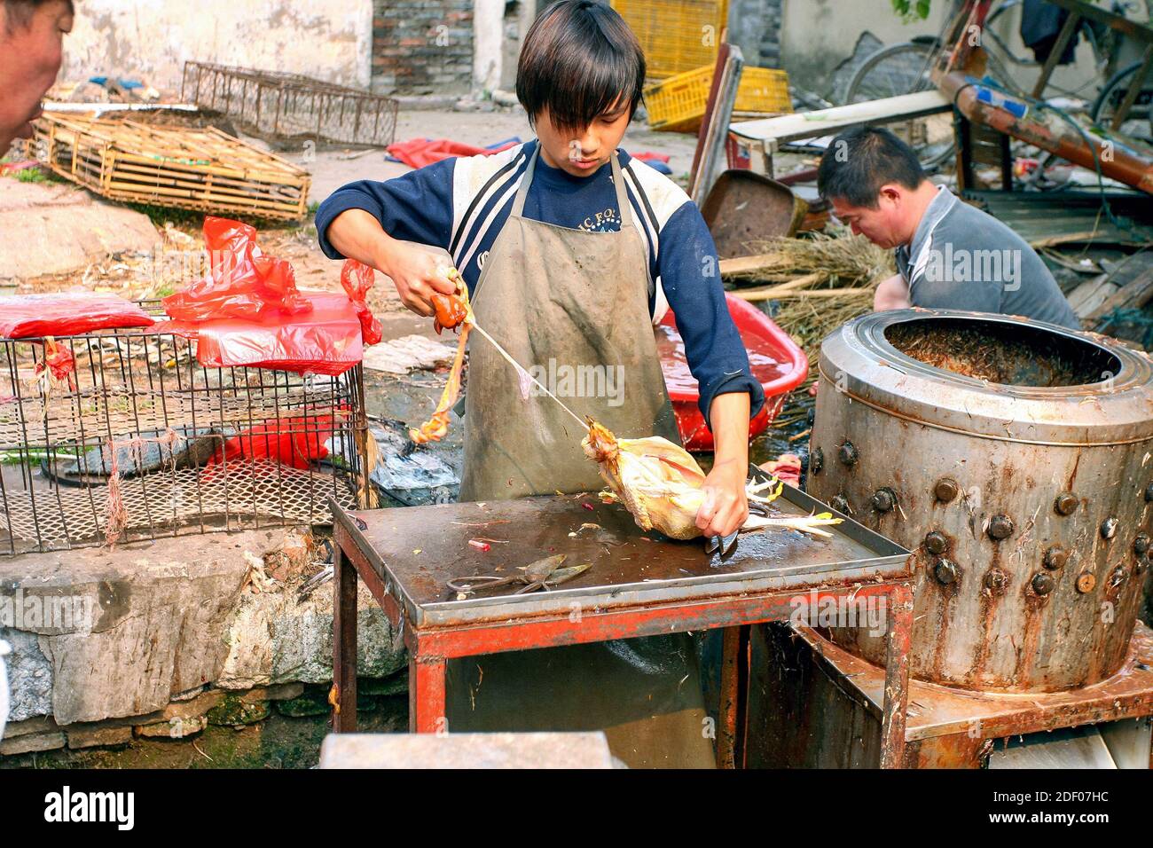Pollo plucker in un mercato agricolo cinese Foto Stock