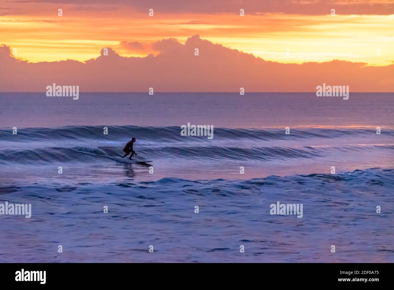 Lone surfer godendo di una sessione di surf all'alba al Mickler's Landing a Ponte Vedra Beach, Florida. (STATI UNITI) Foto Stock