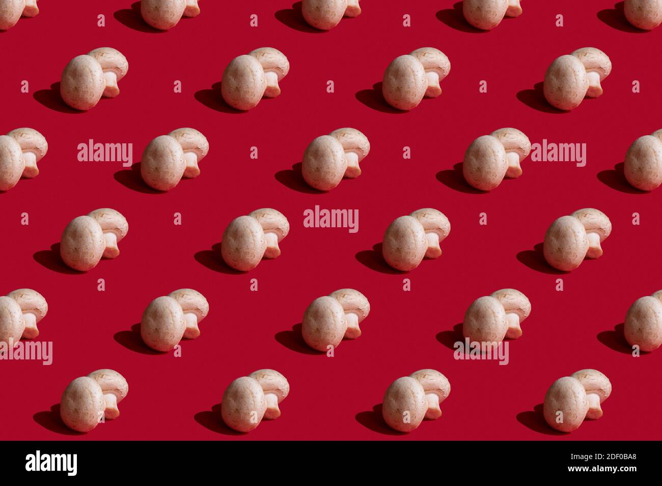 Motivo a fungo Champignon su sfondo rosso, piatto. Vista dall'alto. Foto Stock