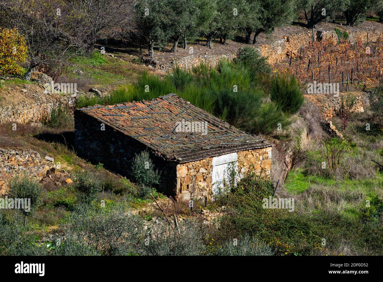 vecchia casa a sabrosa Foto Stock