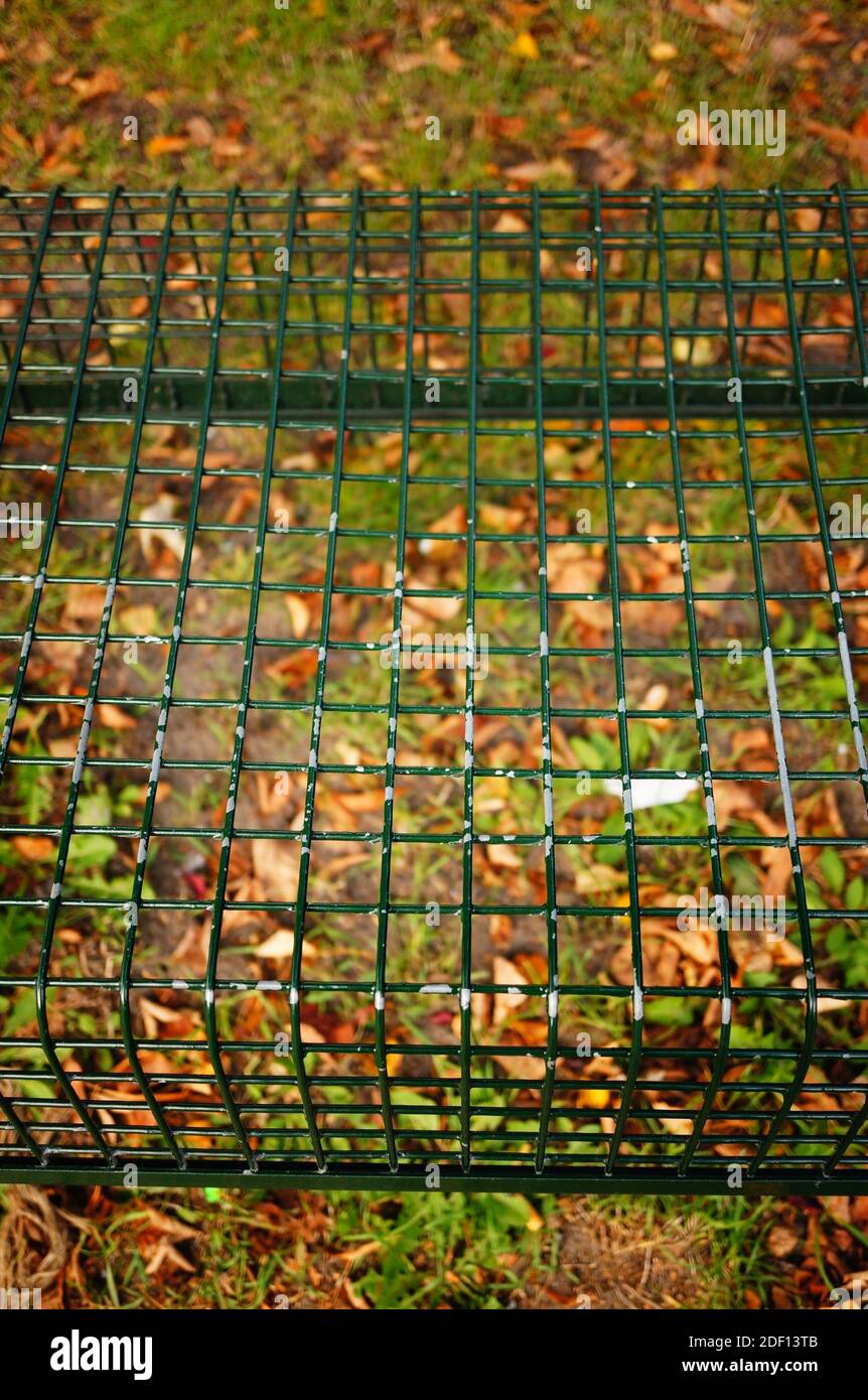 La gabbia di rete metallica verde sul terreno con foglie secche ed erba Foto Stock