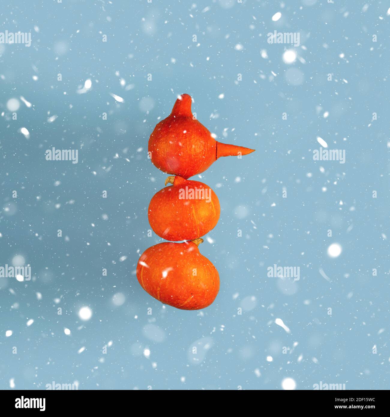 Un pupazzo di neve con un naso di carota di tre zucche arancioni su sfondo blu. Concetto di Halloween. Foto Stock