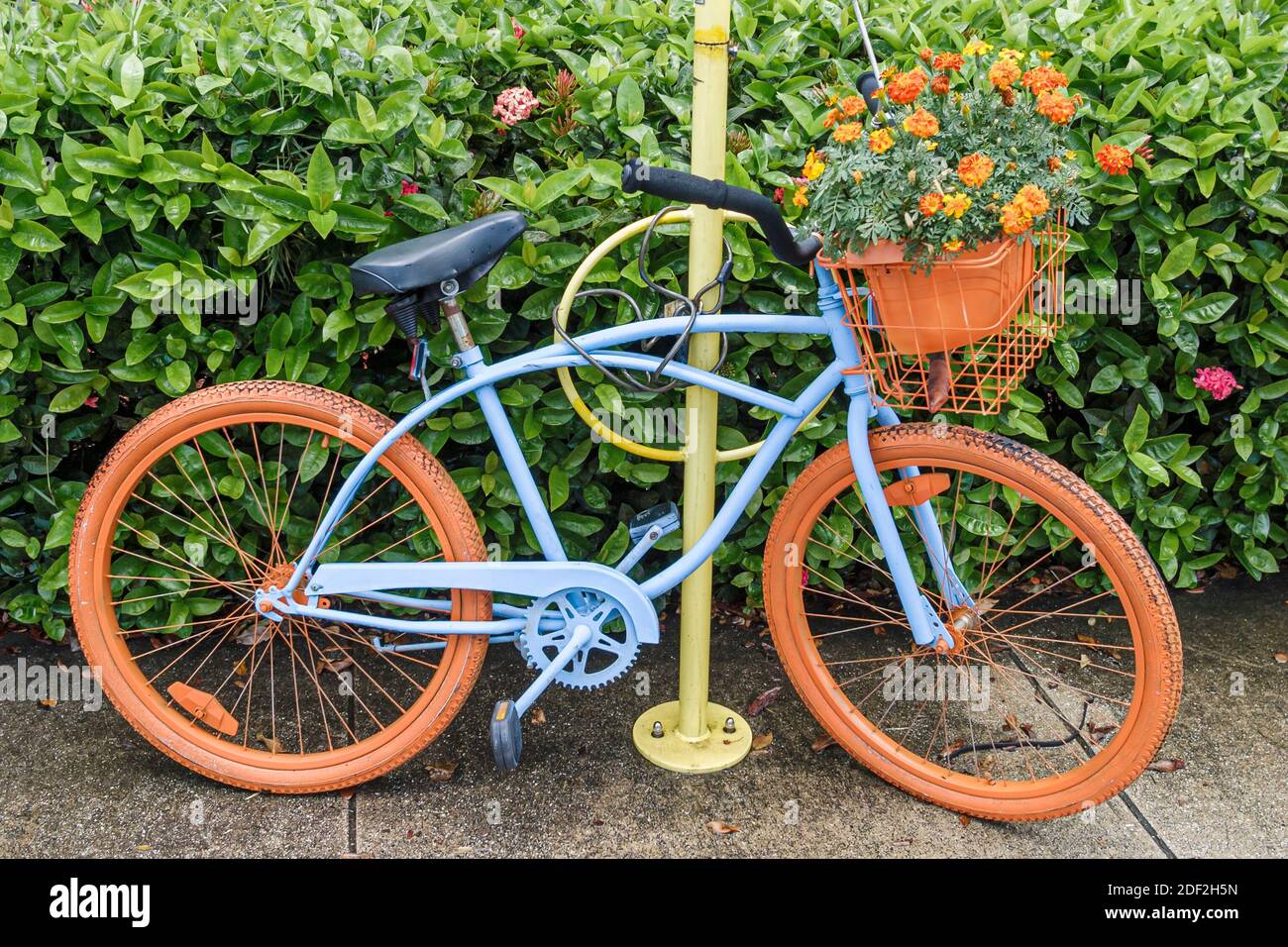 Miami Florida, bicicletta dipinta a molle, arte pubblica, Foto Stock