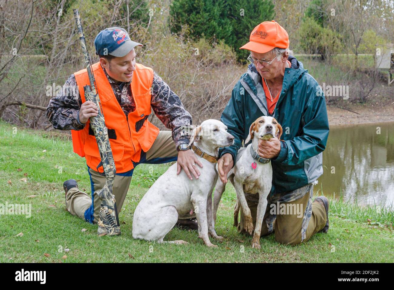 Alabama Town Creek DoubleHead Resort guida alla caccia alla quaglia, inglese pointer dogs uomini fucile da caccia mimetizzazione, Foto Stock