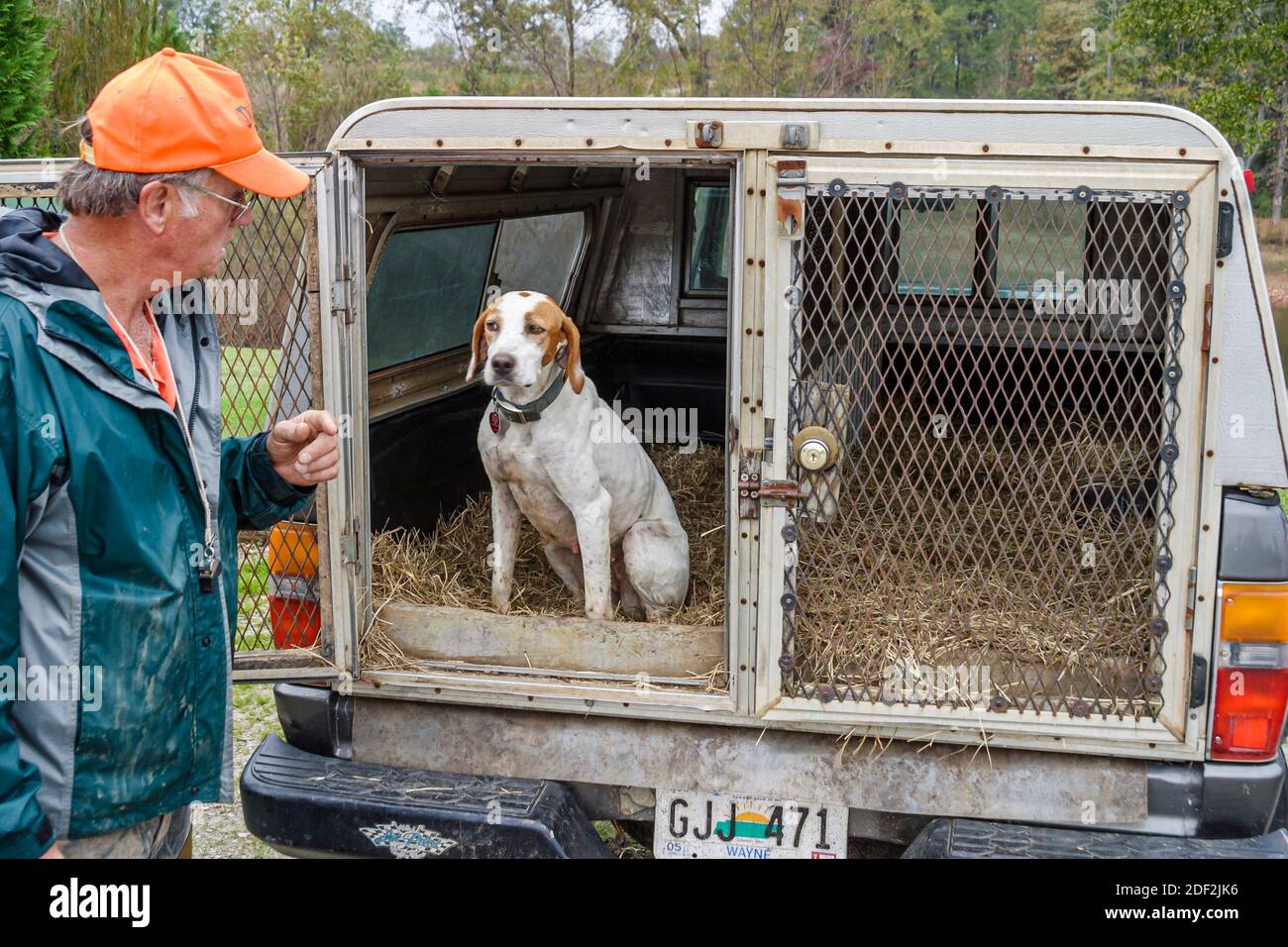 Alabama Town Creek DoubleHead Resort guida alla caccia alla quaglia, inglese pointer dogs man gabbia, Foto Stock