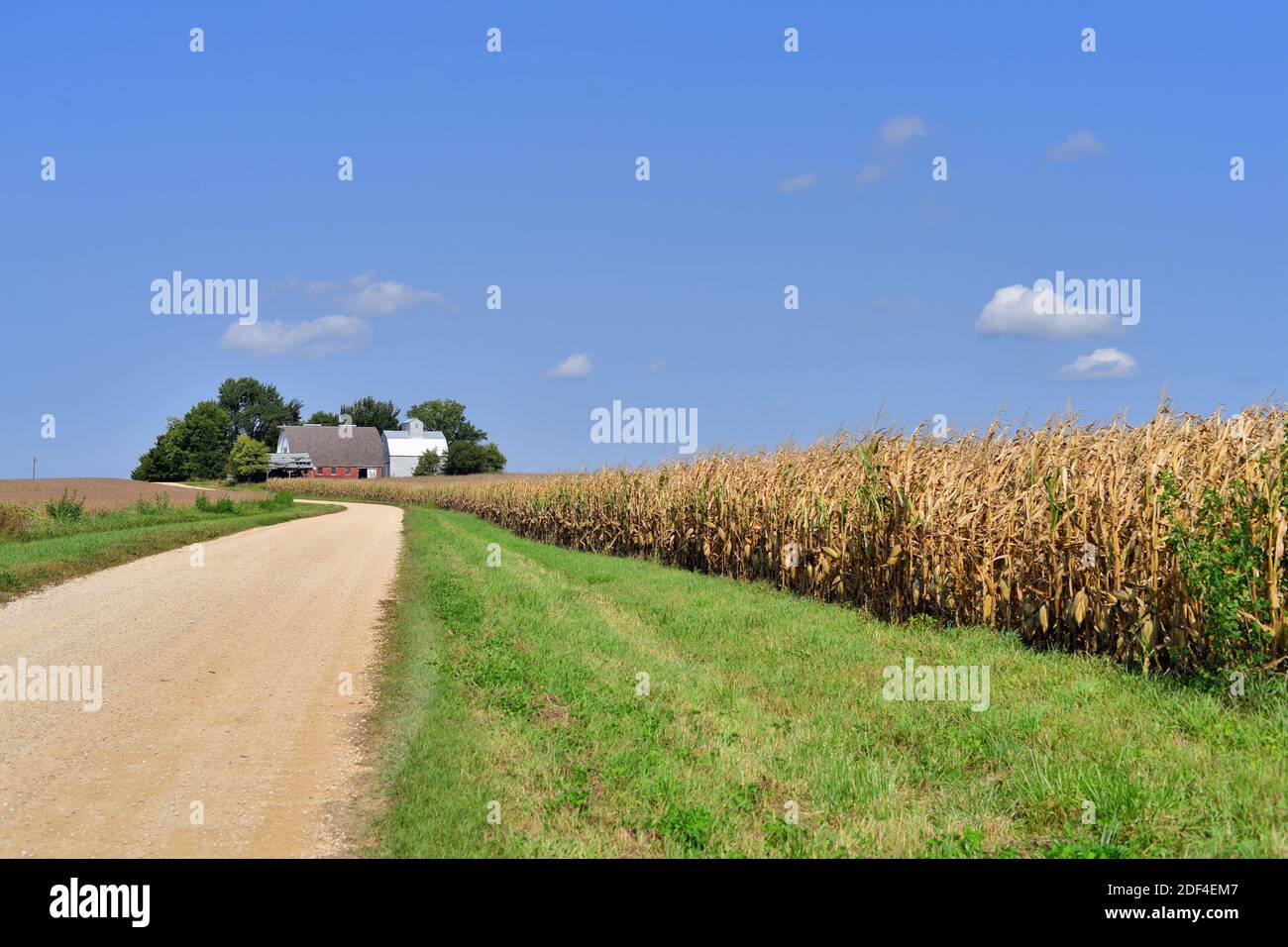 Polo, Illinois, Stati Uniti. Una strada sterrata rurale fornisce l'accesso a fattorie ben distanziate nella parte nord-occidentale dell'Illinois. Foto Stock