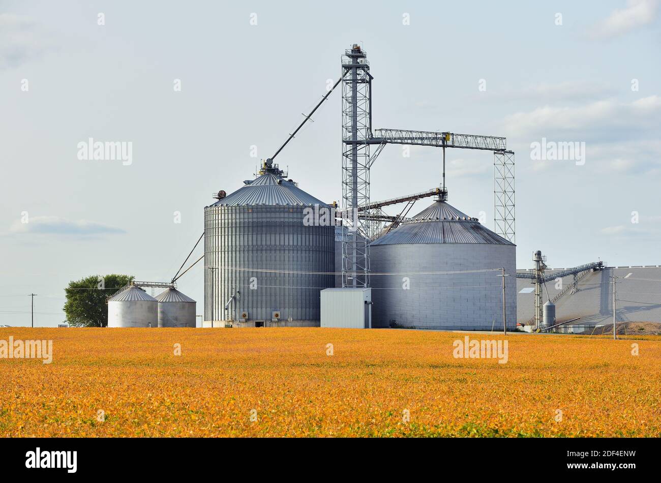 Creston, Illinois, Stati Uniti. Elevatori a granella grande e cooperativa agricola in una comunità dell'Illinois centro-settentrionale fronteggiato da un campo di soia. Foto Stock