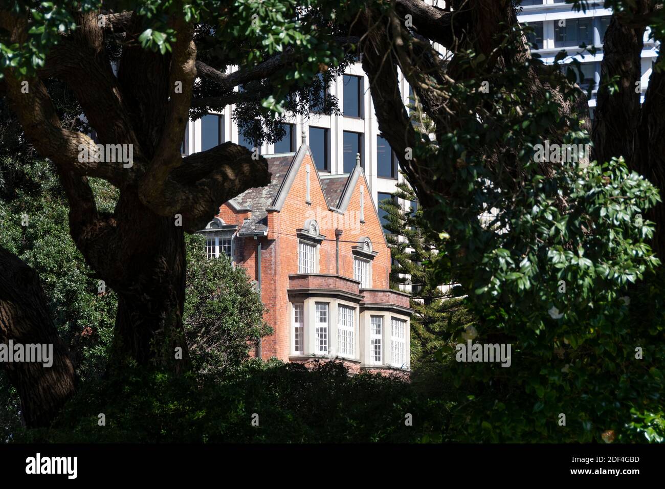 Biblioteca Alexander Turnbull, Wellington, Isola del Nord, Nuova Zelanda Foto Stock