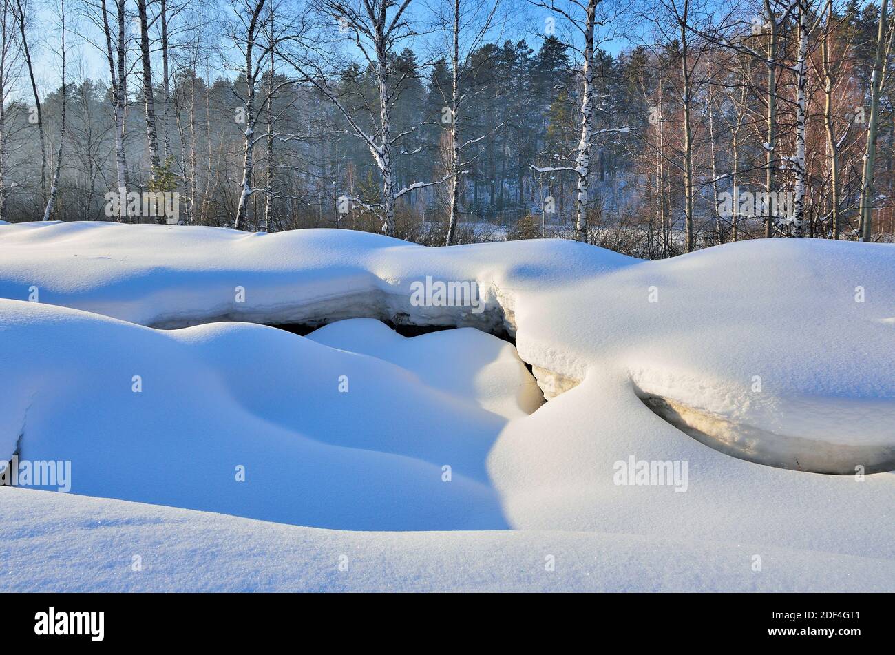 Morbide curve bizzarre di neve superficie vicino alla foresta invernale. Rilievo twisty di superficie nevosa, bella snow drifts.Beauty di linee nevose, Foto Stock