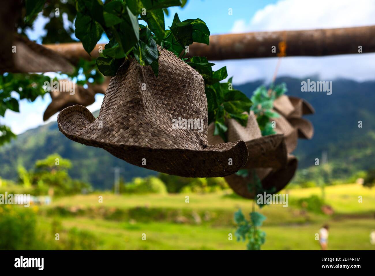 Rustico cappello intrecciato estate giardino arredamento. Giardino  decorazione di Arbor vineria. Rustico cappello di erba intrecciata appeso  su tavola di legno. Estate vacanza turistica pl Foto stock - Alamy