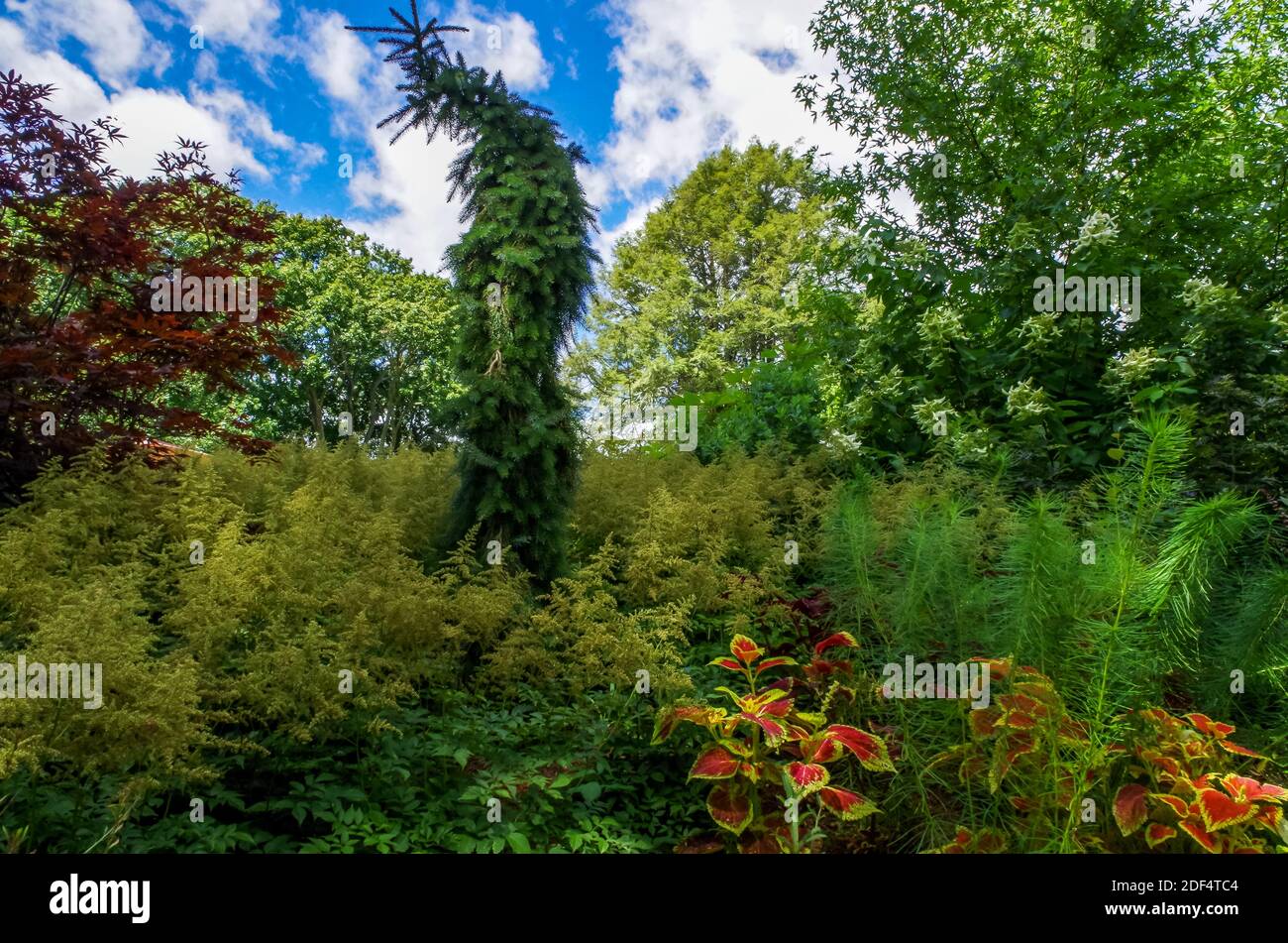 Estate a Heritage Gardens, Sandwich, ma Foto Stock