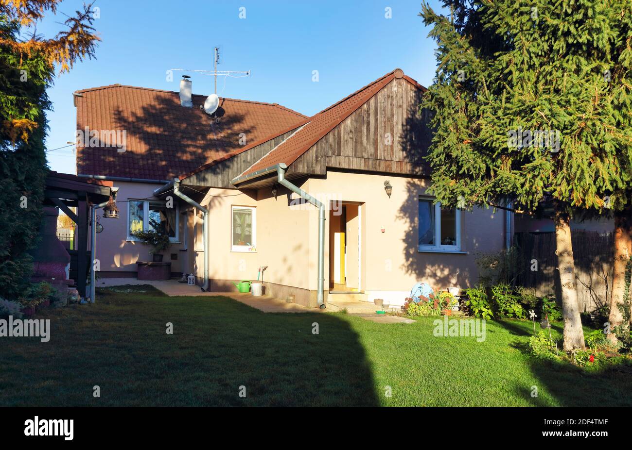 Erba tagliata di fresco con l'albero giallo nel cortile di una casa privata Foto Stock