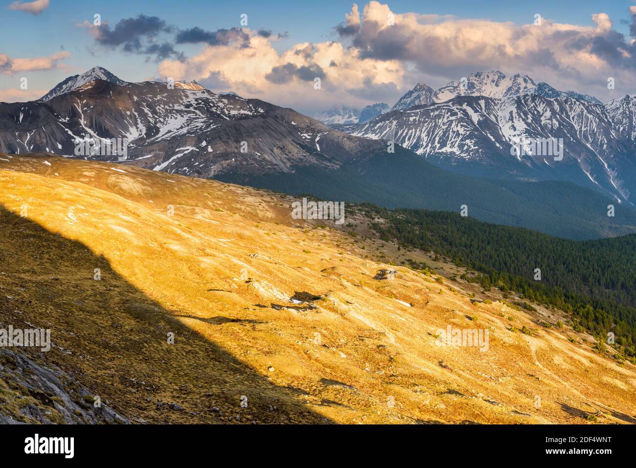 Geografia / viaggio, Svizzera, Graubünden, fitta foresta sulle pendici del Munt Chavagl in Svizzera N, diritti aggiuntivi-clearance-Info-non-disponibile Foto Stock