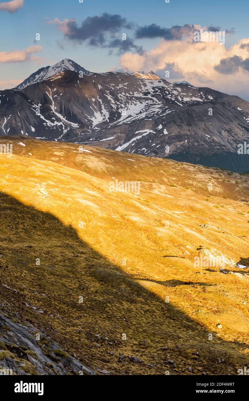 Geografia / viaggio, Svizzera, Graubünden, fitta foresta sulle pendici del Munt Chavagl in Svizzera N, diritti aggiuntivi-clearance-Info-non-disponibile Foto Stock