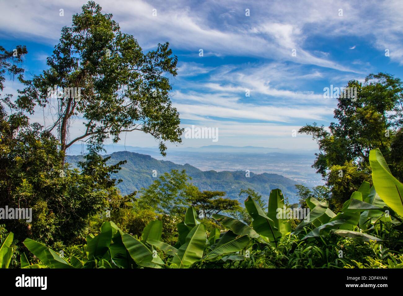 Doi Tung nella Provincia di Chiang Rai Thailandia del Nord Foto Stock