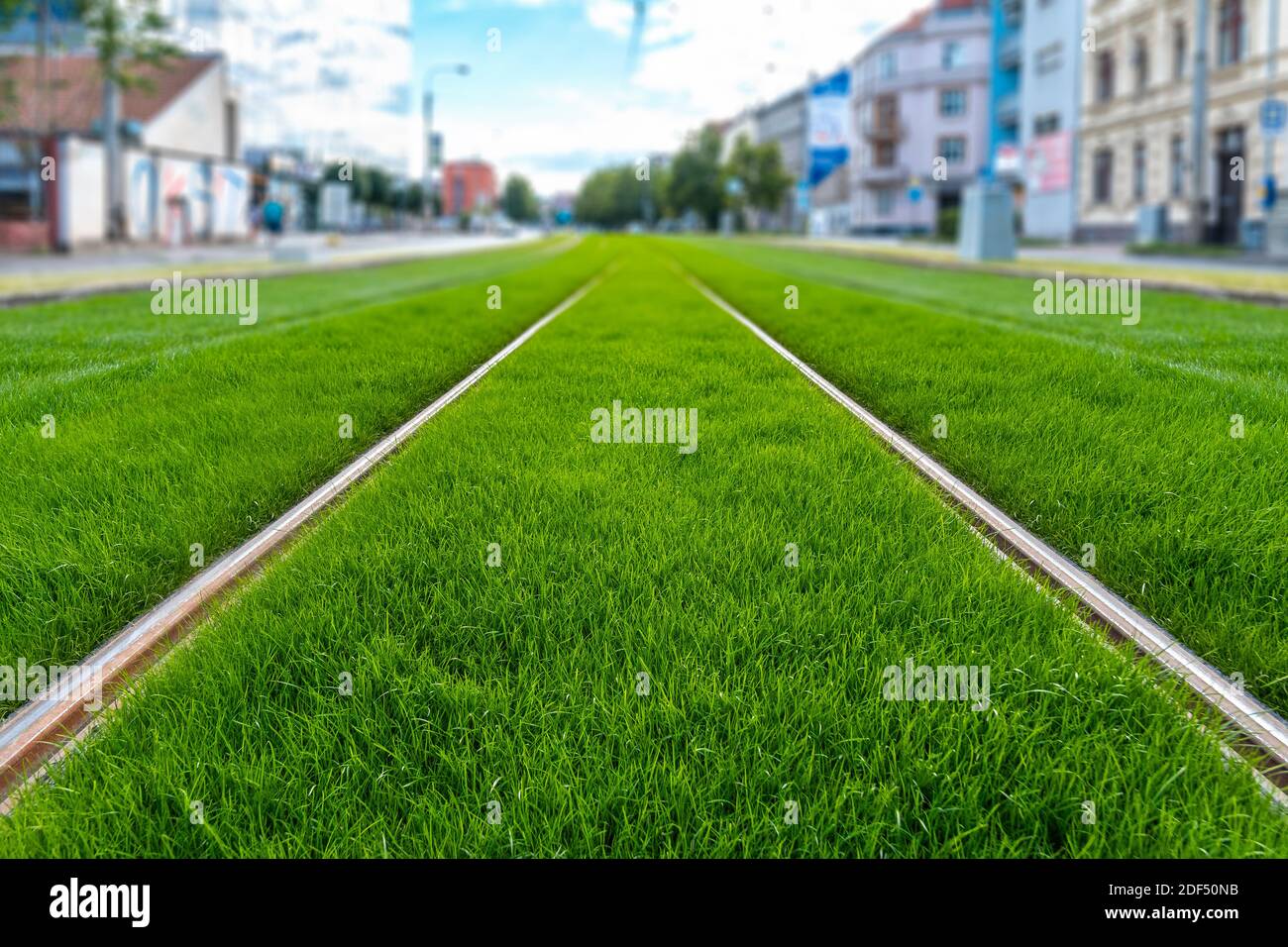 Pista verde. Percorso del tram coperto di erba. Verde in città. La zona abitabile riduce il calore urbano. Effetto isola. Foto Stock