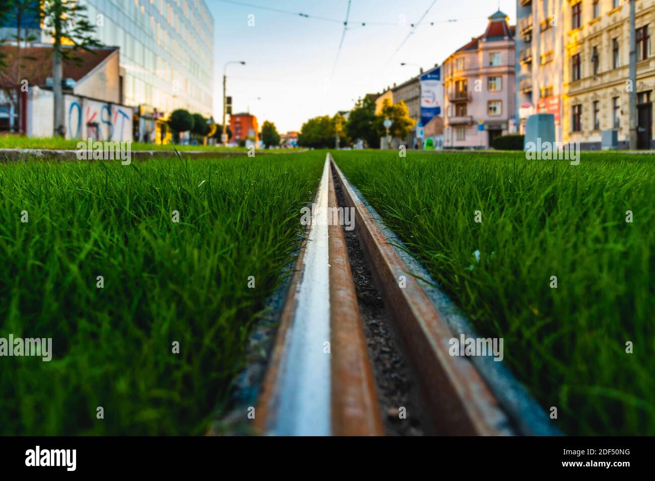 Pista verde del tram. Percorso del tram coperto di erba. Verde in città. La zona abitabile riduce il calore urbano. Effetto isola. Foto Stock