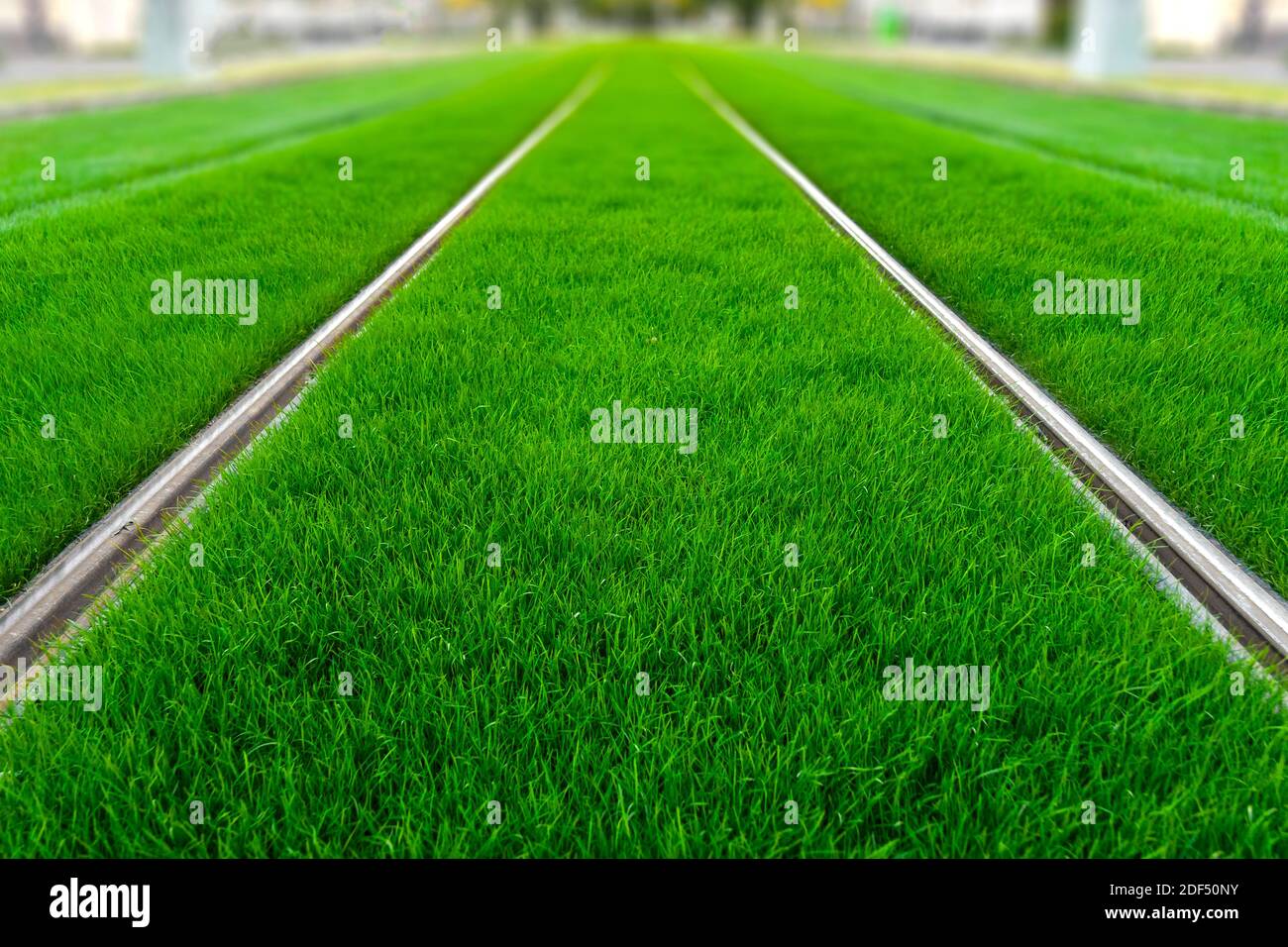 Pista verde. Percorso del tram coperto di erba. Verde in città. La zona abitabile riduce il calore urbano. Effetto isola. Foto Stock