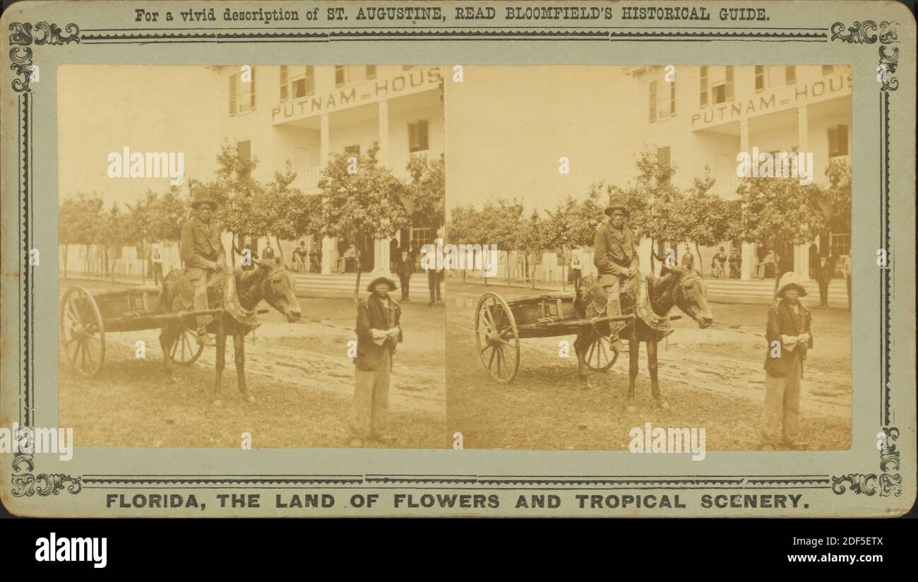 15th Emendamento, o il millennio del Darkey: 40 acri di terra e un mulo., immagine, Stereographs, 1850 - 1930 Foto Stock