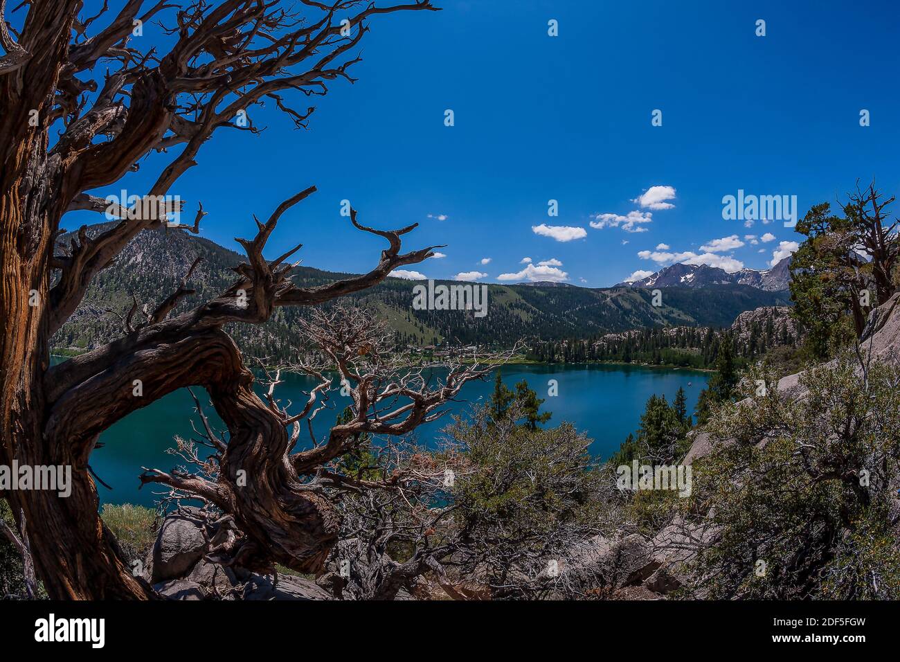 June Lake e June Mountain Landscape in California Foto Stock