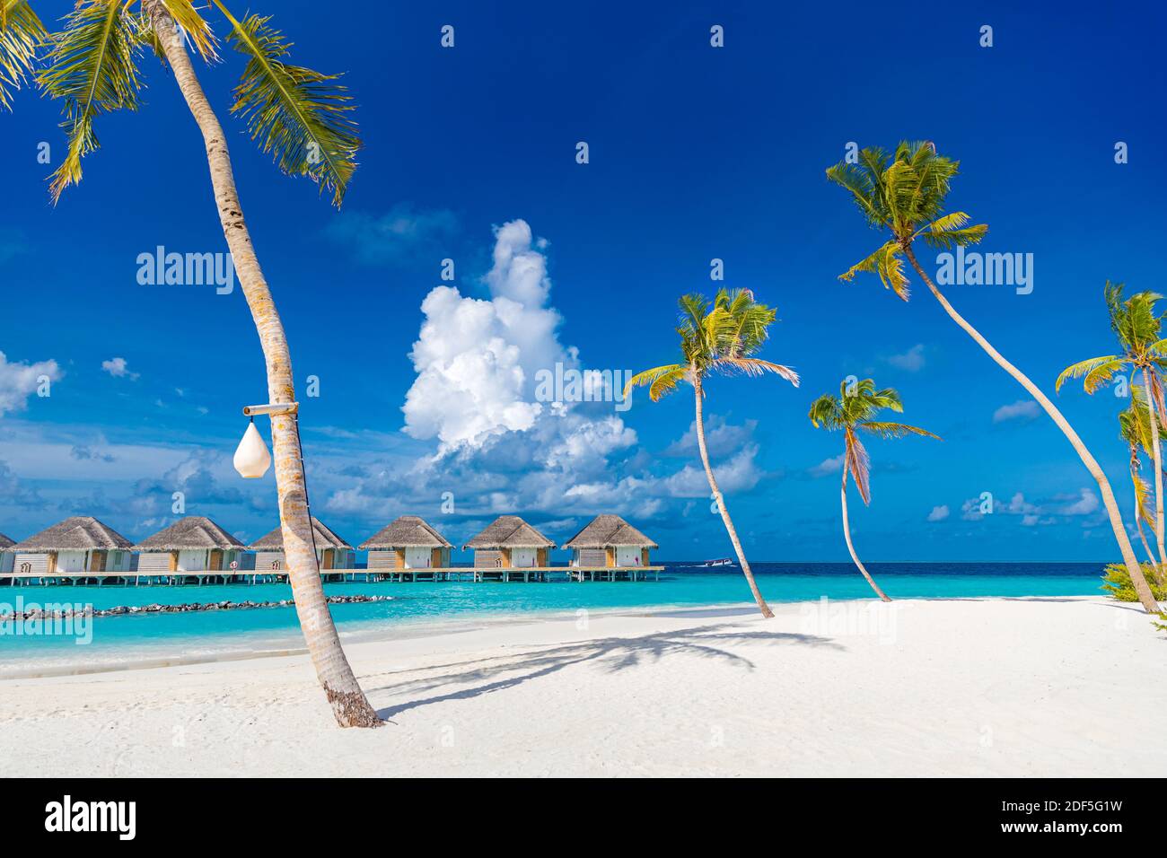 Perfetta spiaggia dell'isola con ville sull'acqua, bungalow di lusso sotto palme, vicino al mare blu. Destinazione di viaggio incredibile, relax spiaggia resort paesaggio Foto Stock