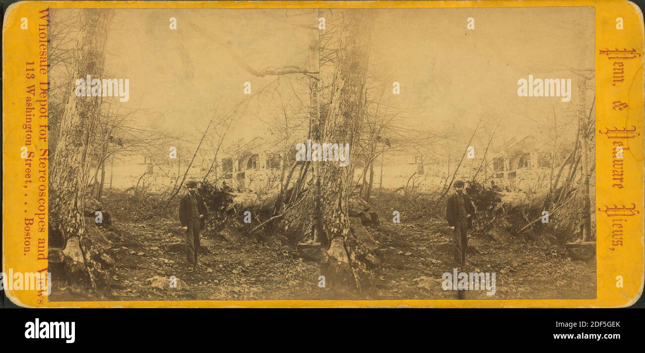 Solitudine, immagine fissa, Stereografi, 1850 - 1930 Foto Stock