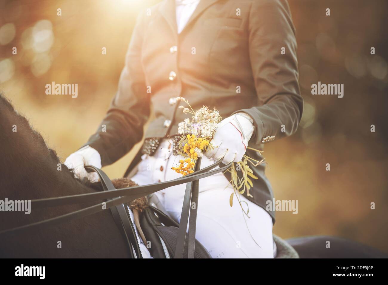 Un cavaliere seduto in sella su un cavallo nero sta tenendo in mano una barbetta e un bouquet di erbe estive di campo alla luce del sole. Un regalo carino ad un equestr Foto Stock