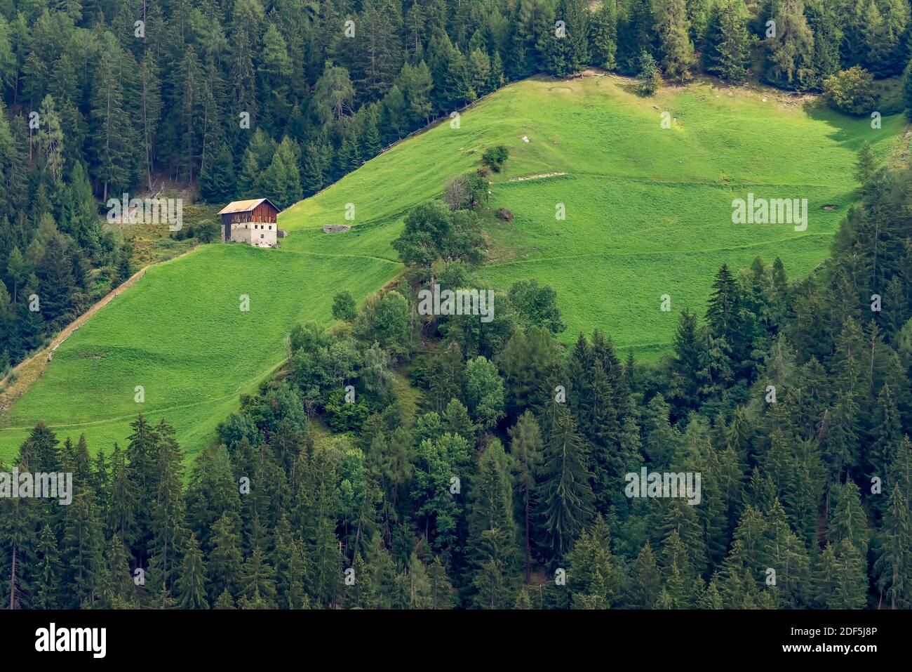 Una fattoria di montagna circondata da prati verdi e boschi, Stelvio, Alto Adige, Italia Foto Stock