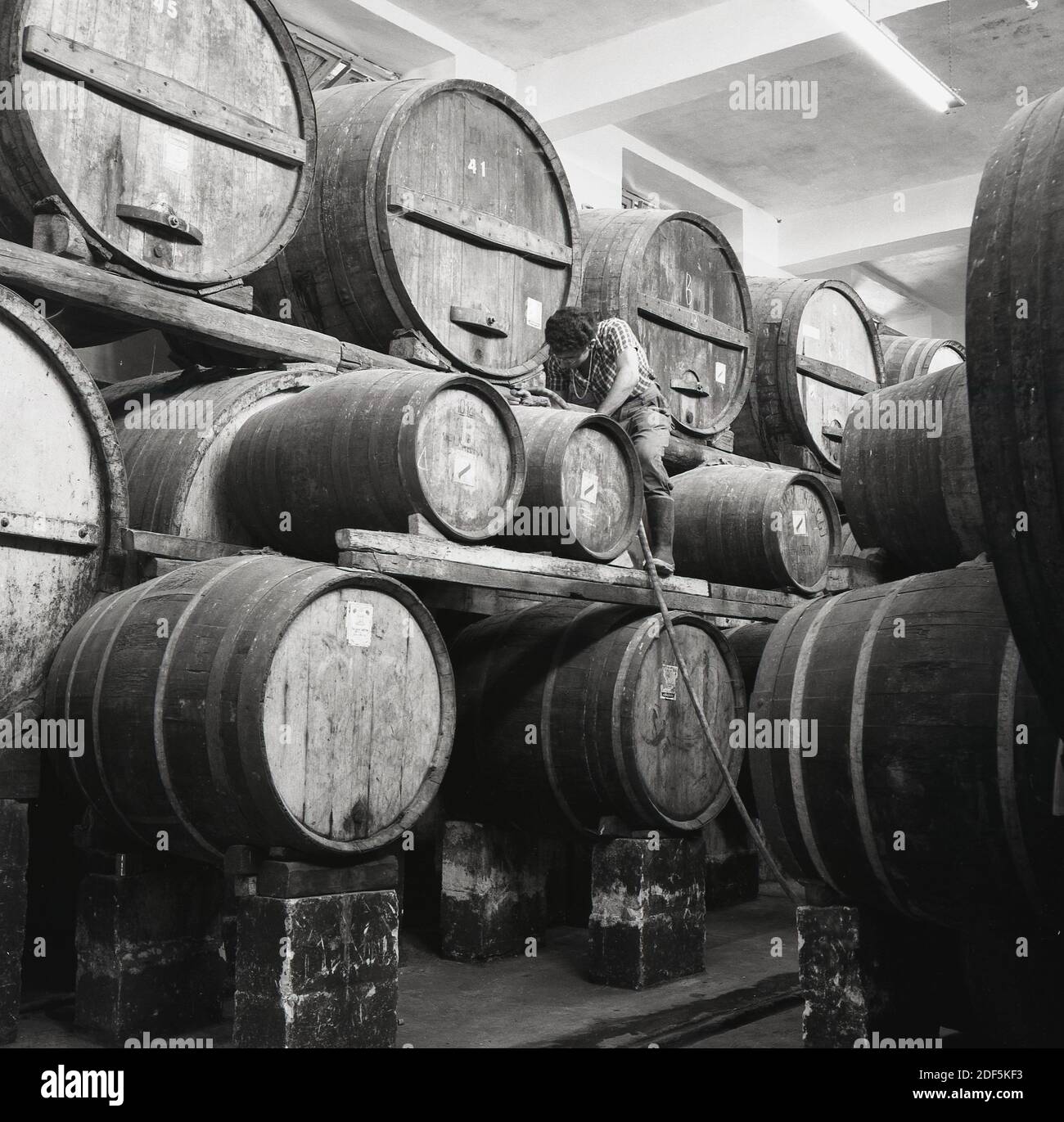anni '1950, storico, un uomo che lavora su una grande pila di botti di legno antico per bevande contenenti sherry o porto, riparando una delle botti. Un grande contenitore contenente bevande alcoliche è anche noto come iva. Foto Stock