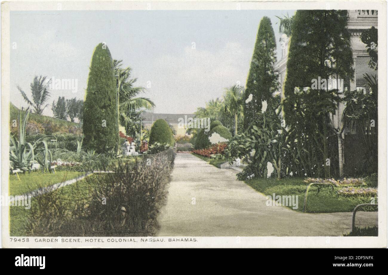 Scene del giardino, Hotel coloniale, Nassau, Bahamas, immagini fisse, Cartoline, 1898 - 1931 Foto Stock