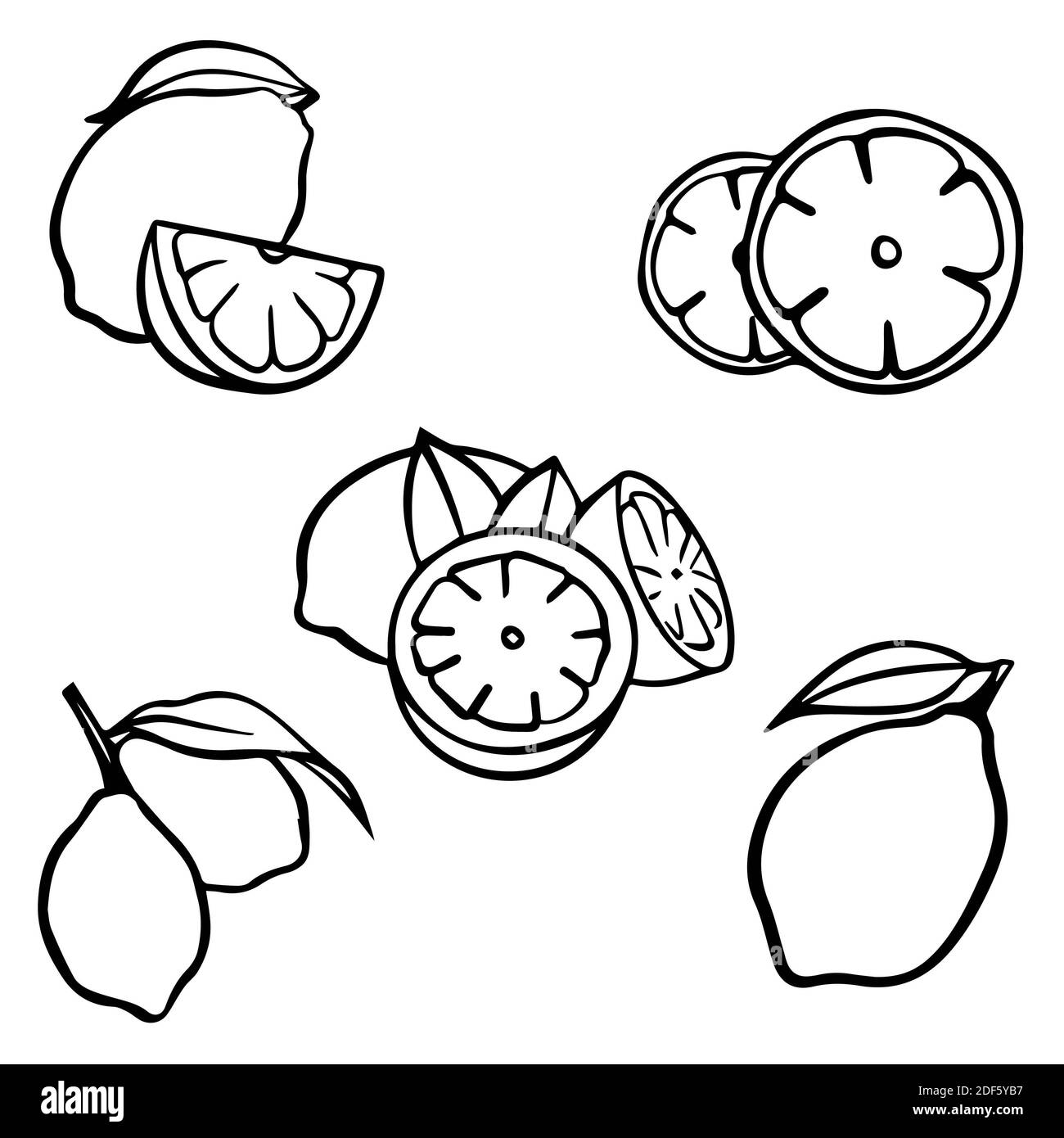 Set di limoni vettoriali. Bianco e nero con linea d'arte isolata su sfondi bianchi. Icona o logo del limone Foto Stock