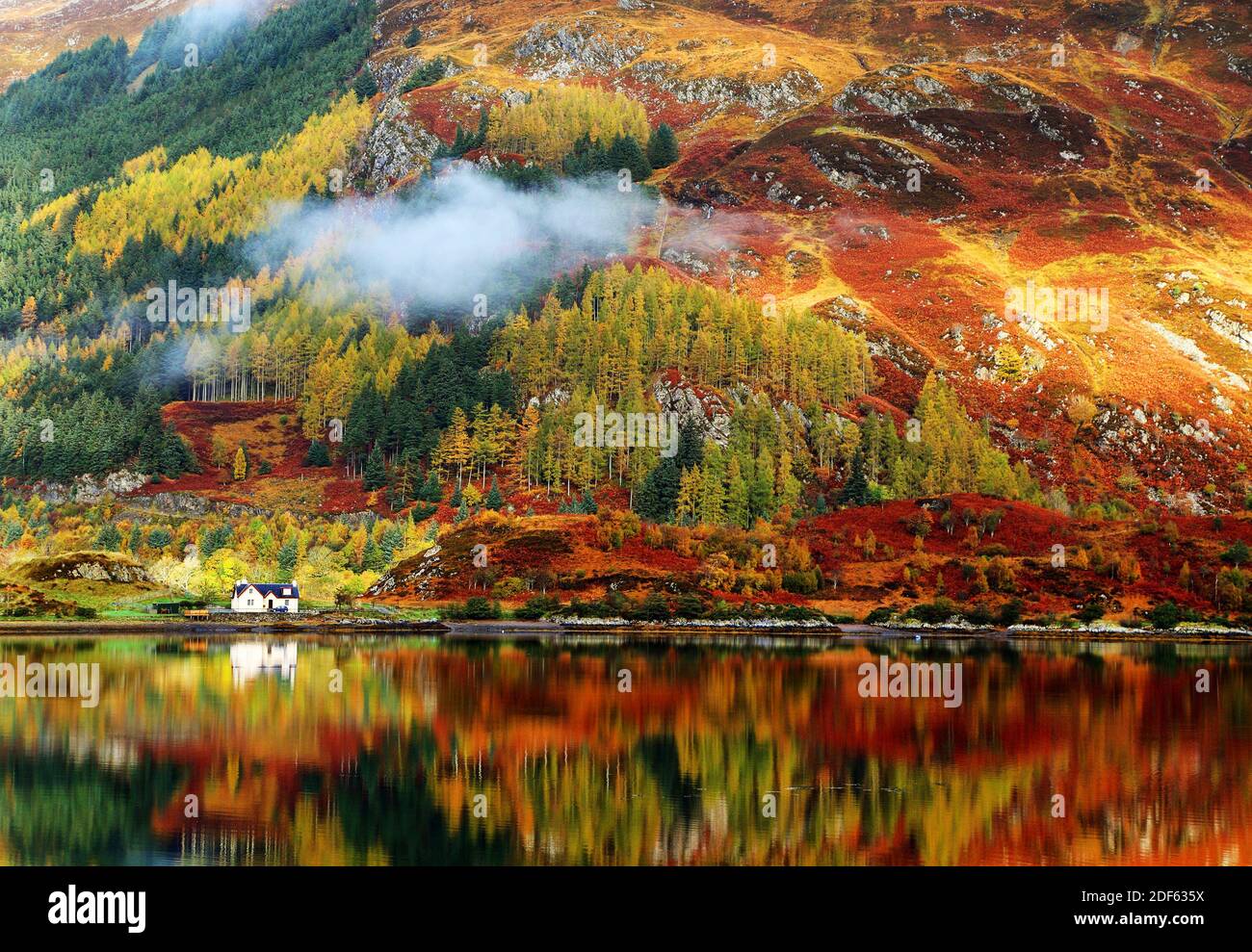 I colori autunnali nelle Highlands, Scozia, Europa Foto Stock