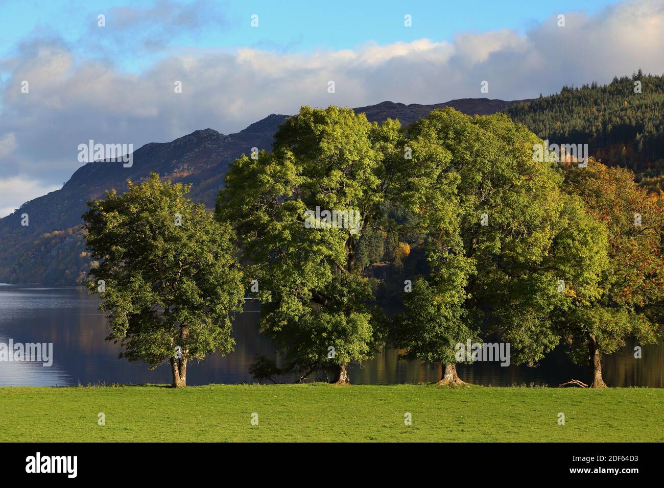 Lochness in Highlands, Scozia, Regno Unito Foto Stock