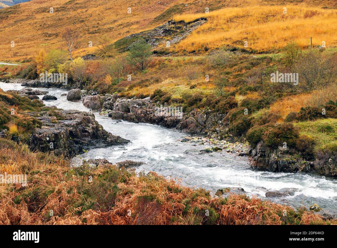 I colori autunnali nelle Highlands, Scozia, Europa Foto Stock