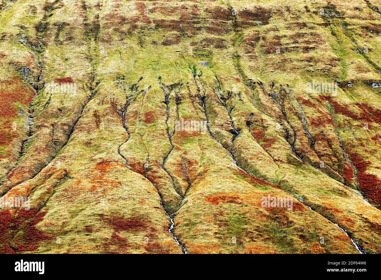 I colori autunnali nelle Highlands, Scozia, Europa Foto Stock