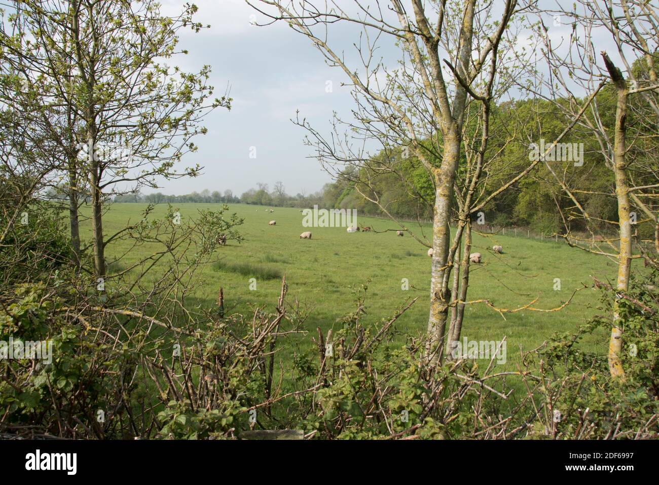 M25 Colne Valley zona di servizio autostrada Sito proposto, Iver Heath, Bucks - applicazione di pianificazione PL/20/4332/OA Foto Stock