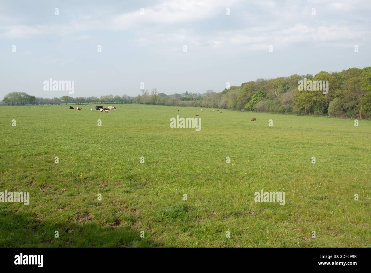 M25 Colne Valley zona di servizio autostrada Sito proposto, Iver Heath, Bucks - applicazione di pianificazione PL/20/4332/OA Foto Stock