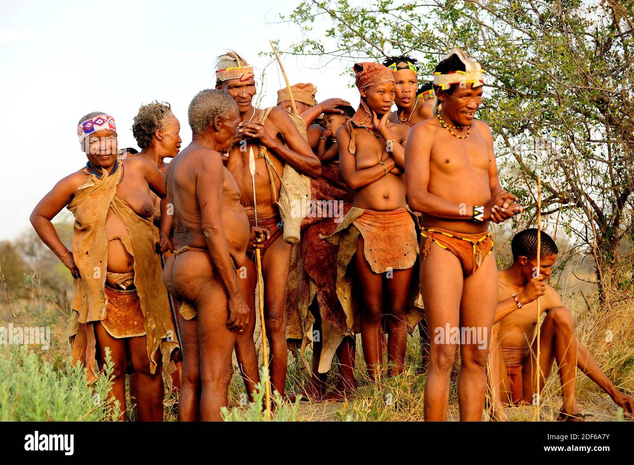 I Boscimani conoscono anche san, saan o basarwa. I San sono i più antichi abitanti del Sud Africa. Sono un popolo cacciatore-raccoglitore. Tsumkwe, Foto Stock