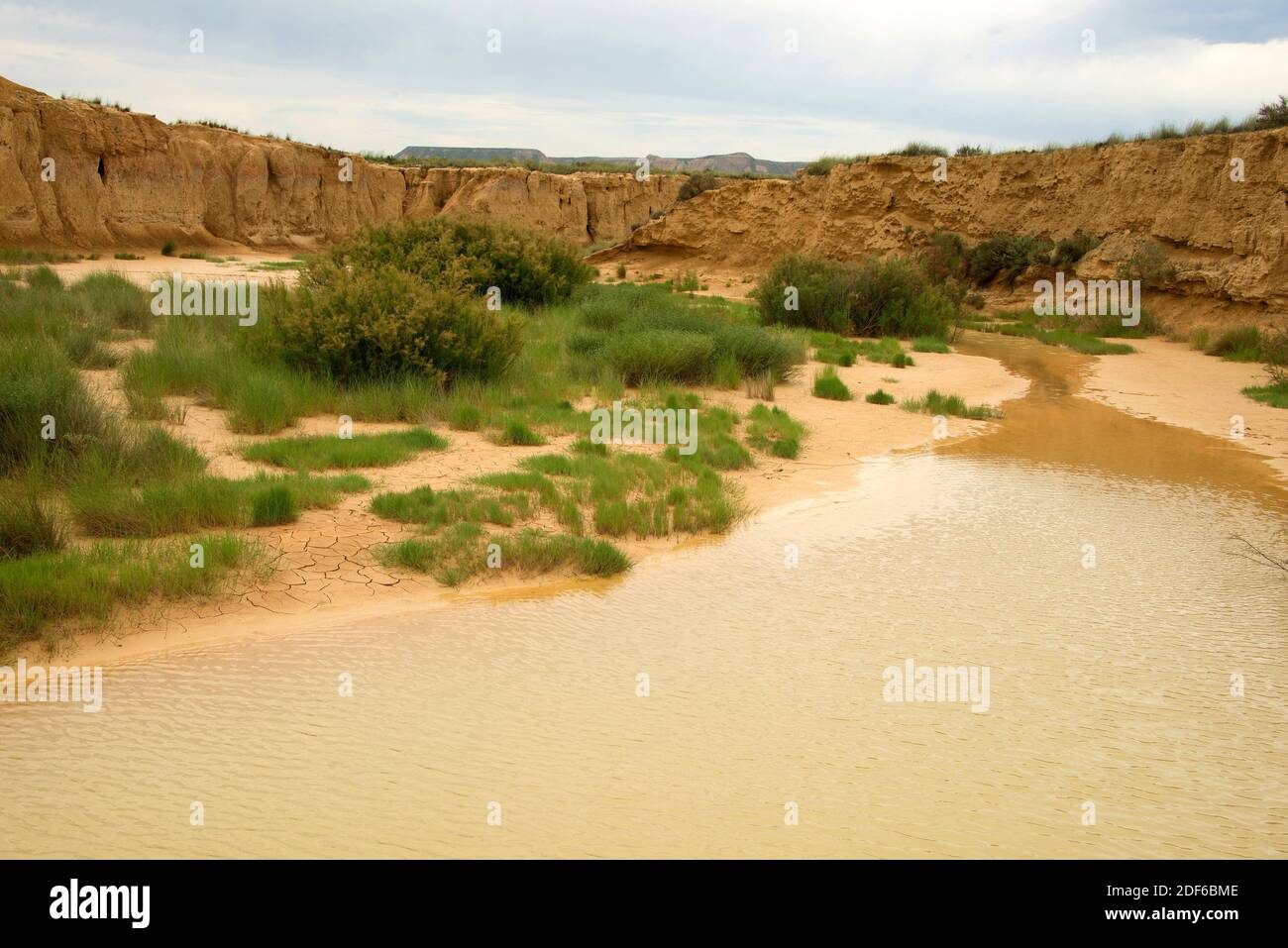 Wadi o rambla è un flusso intermittente caratteristico di climi aridi. Questa foto è stata scattata a Bardenas Reales, Navarra, Spagna. Foto Stock