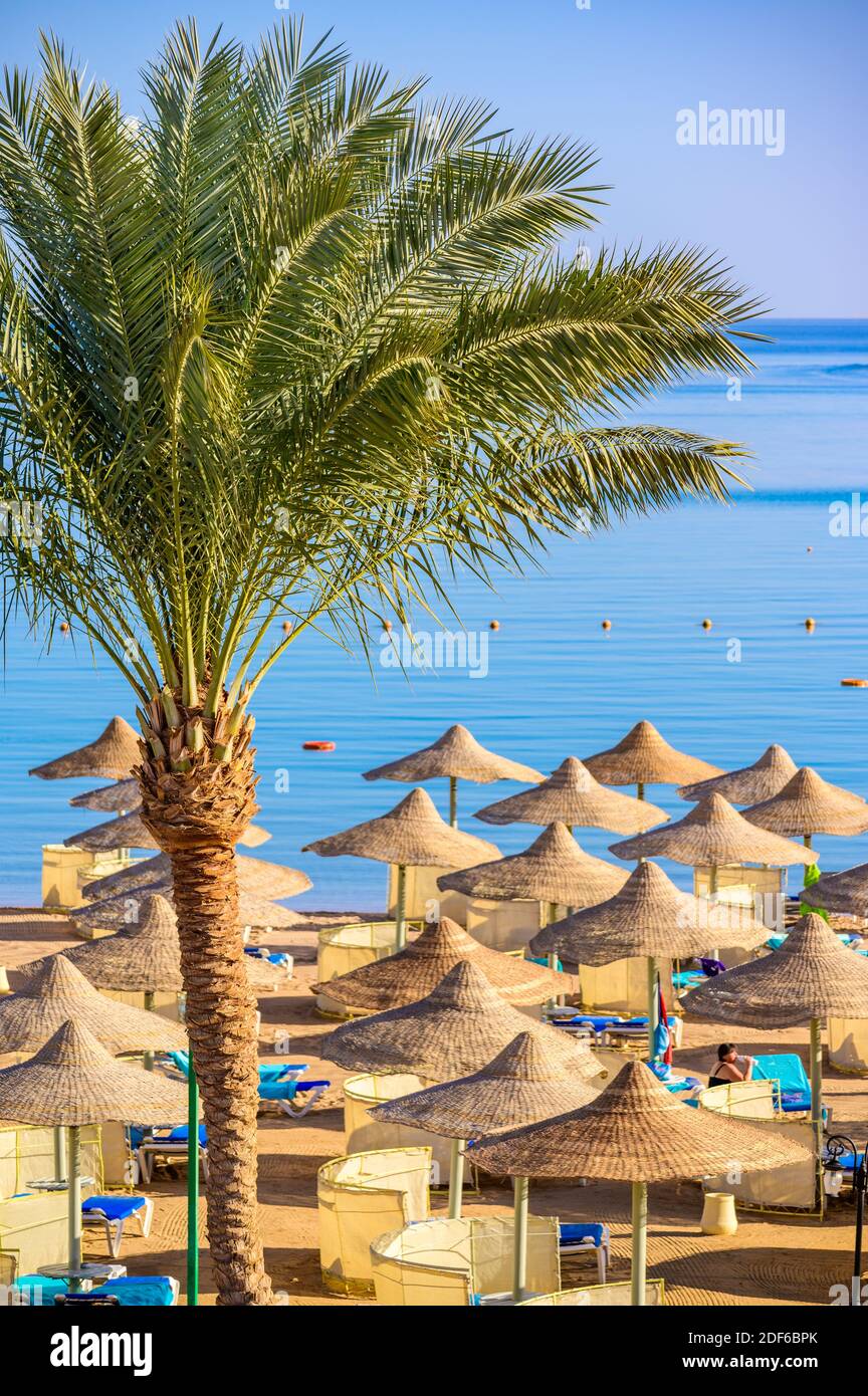 Relax in paradiso spiaggia - Chaise lounge e ombrelloni - destinazione di viaggio Hurghada, Egitto Foto Stock