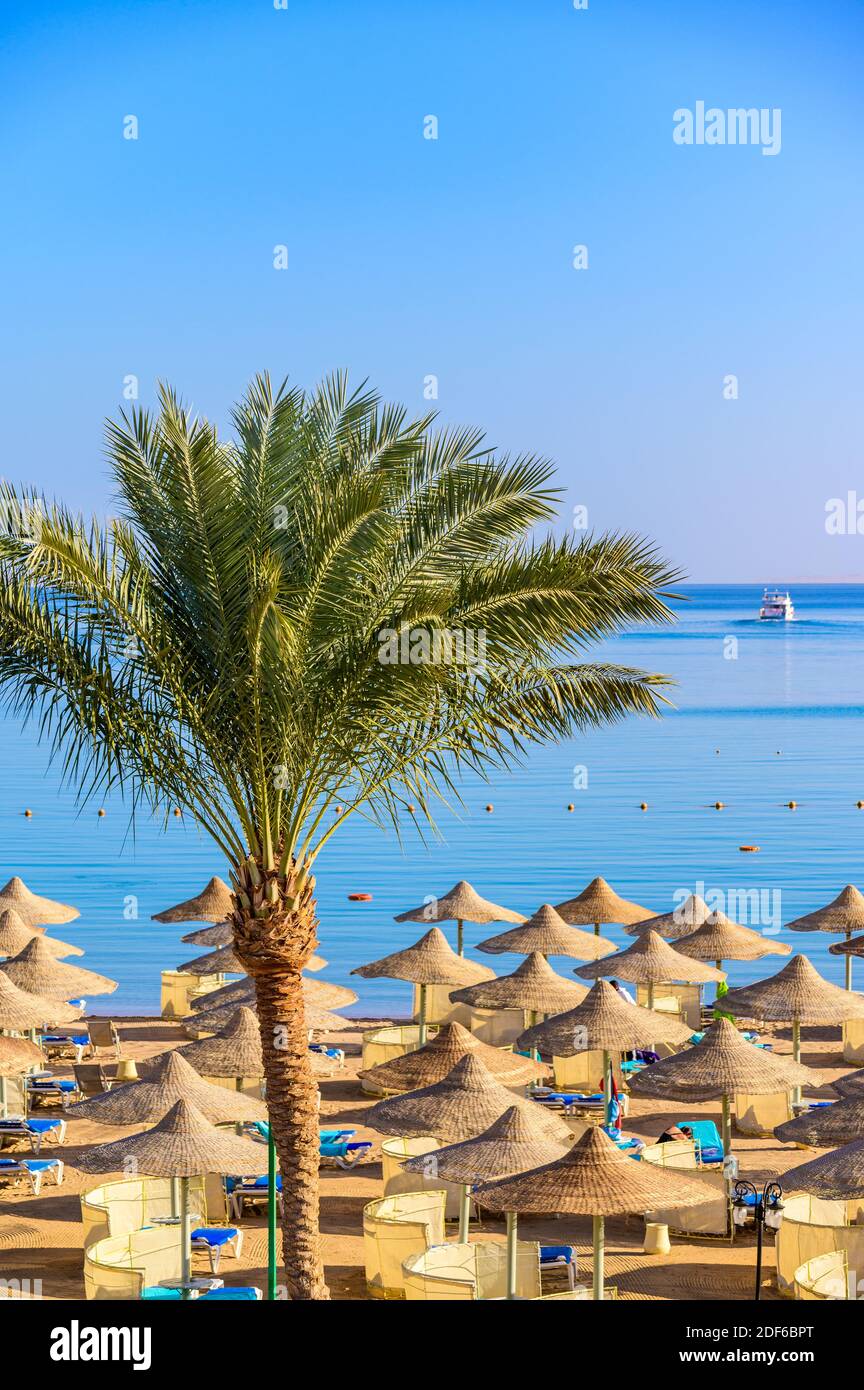 Relax in paradiso spiaggia - Chaise lounge e ombrelloni - destinazione di viaggio Hurghada, Egitto Foto Stock