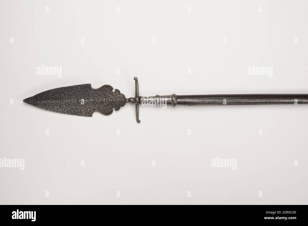 Spugnone, Anonimo, XVII secolo, ferro, frassino, forgiato, Sponton con testa in ferro, costituito da: Zoccolo rastremato con tre fasce convesse, sopra la quale una protezione trasversale con bottoni terminali rivolti verso l'alto e verso il basso. Sopra di esso un pulsante decorativo seguito dalla lama. Questo blade ha la forma di un server per torte con una base circolare. Tutto è piatto. Il profilo del server per torte è ovale appuntito ed è piatto-diamante in sezione trasversale con un osso centrale debole. Dimensioni dimensioni Catalogo dimensioni: Lunghezza totale: 197cm, lunghezza testa: 32 cm, larghezza genitore: 10.9 cm, Generale: 197 x 11.5 x 3cm (1970 x 115 x 30mm Foto Stock