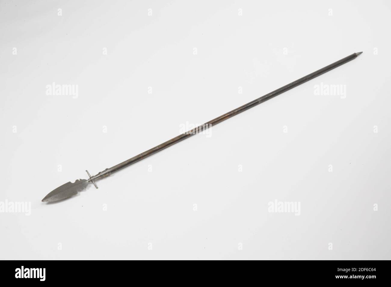 Spugnone, Anonimo, XVII secolo, ferro, frassino, forgiato, Sponton con testa in ferro, costituito da: Zoccolo rastremato con tre fasce convesse, sopra la quale una protezione trasversale con bottoni terminali rivolti verso l'alto e verso il basso. Sopra di esso un pulsante decorativo seguito dalla lama. Questo blade ha la forma di un server per torte con una base circolare. Tutto è piatto. Il profilo del server per torte è ovale appuntito ed è piatto-diamante in sezione trasversale con un osso centrale debole. Dimensioni dimensioni Catalogo dimensioni: Lunghezza totale: 197cm, lunghezza testa: 32 cm, larghezza genitore: 10.9 cm, Generale: 197 x 11.5 x 3cm (1970 x 115 x 30mm Foto Stock
