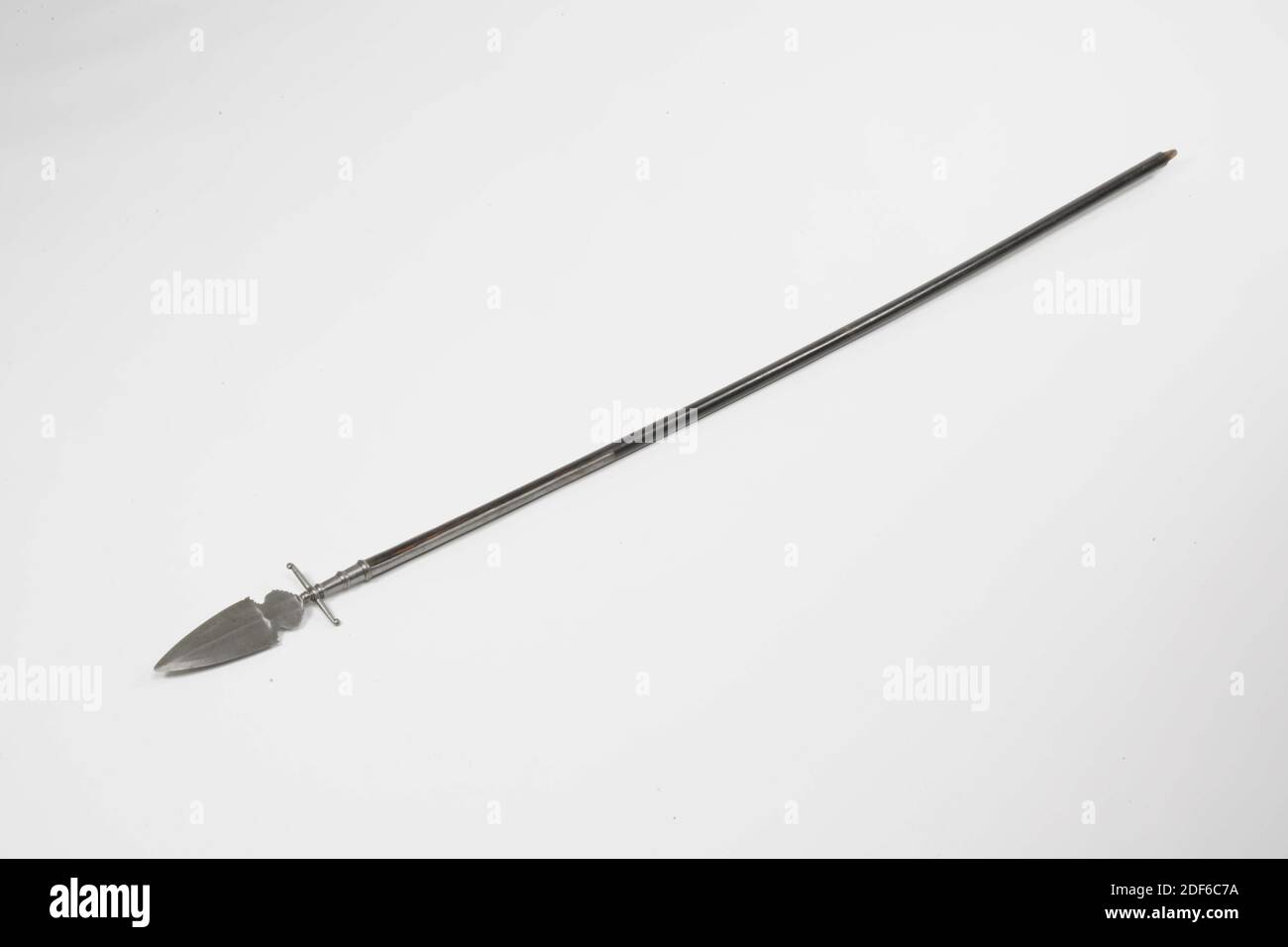 Spugnone, Anonimo, XVII secolo, ferro, frassino, forgiato, Sponton con testa in ferro, costituito da: Zoccolo rastremato con tre fasce convesse, sopra la quale una protezione trasversale con bottoni terminali rivolti verso l'alto e verso il basso. Sopra di esso un pulsante decorativo seguito dalla lama. Questo blade ha la forma di un server per torte con una base circolare. Tutto è piatto. Il profilo del server per torte è ovale appuntito ed è piatto-diamante in sezione trasversale con un osso centrale debole. Dimensioni dimensioni Catalogo dimensioni: Lunghezza totale: 197cm, lunghezza testa: 32 cm, larghezza genitore: 10.9 cm, Generale: 197 x 11.5 x 3cm (1970 x 115 x 30mm Foto Stock