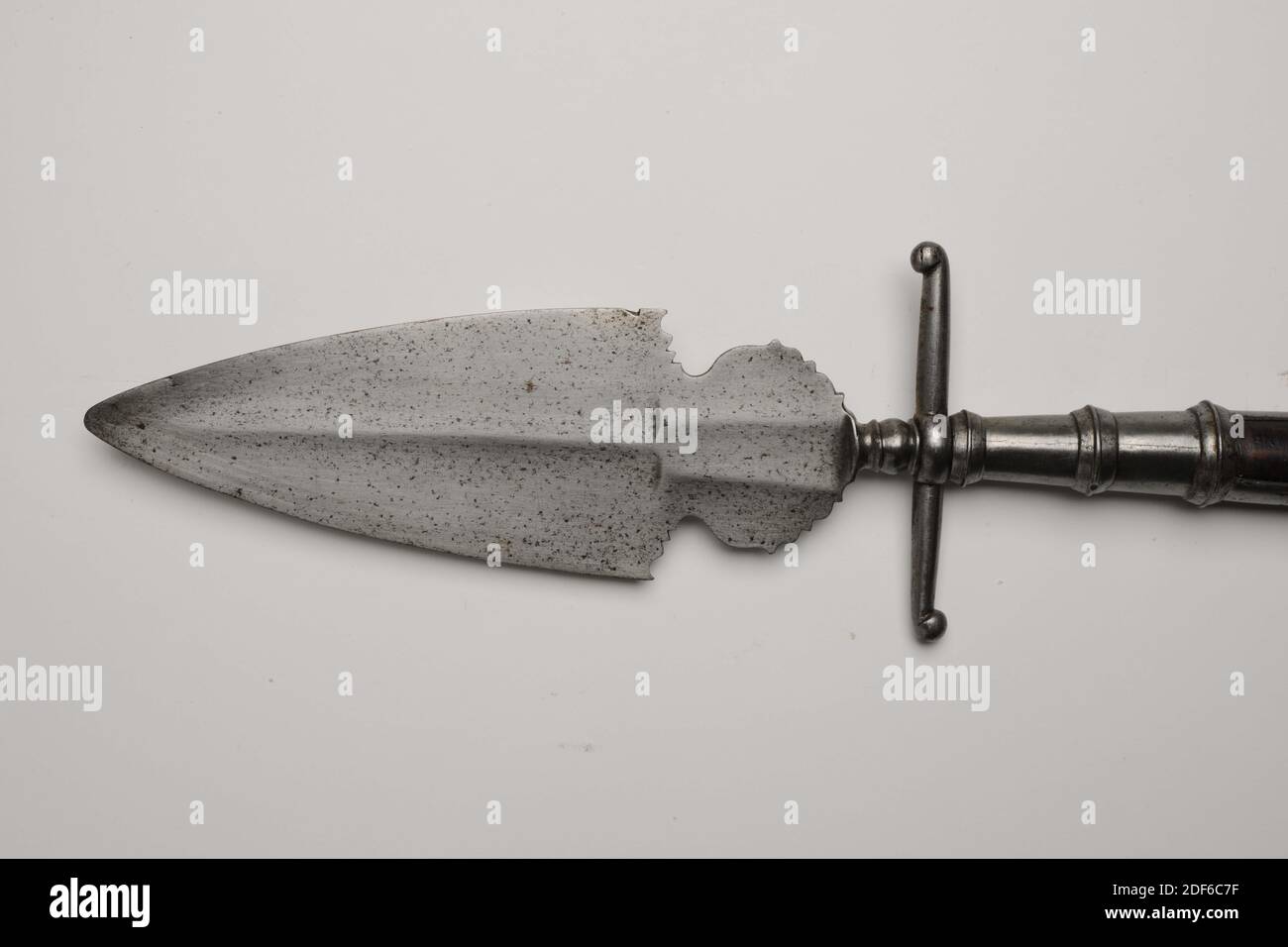 Spugnone, Anonimo, XVII secolo, ferro, frassino, forgiato, Sponton con testa in ferro, costituito da: Zoccolo rastremato con tre fasce convesse, sopra la quale una protezione trasversale con bottoni terminali rivolti verso l'alto e verso il basso. Sopra di esso un pulsante decorativo seguito dalla lama. Questo blade ha la forma di un server per torte con una base circolare. Tutto è piatto. Il profilo del server per torte è ovale appuntito ed è piatto-diamante in sezione trasversale con un osso centrale debole. Dimensioni dimensioni Catalogo dimensioni: Lunghezza totale: 197cm, lunghezza testa: 32 cm, larghezza genitore: 10.9 cm, Generale: 197 x 11.5 x 3cm (1970 x 115 x 30mm Foto Stock