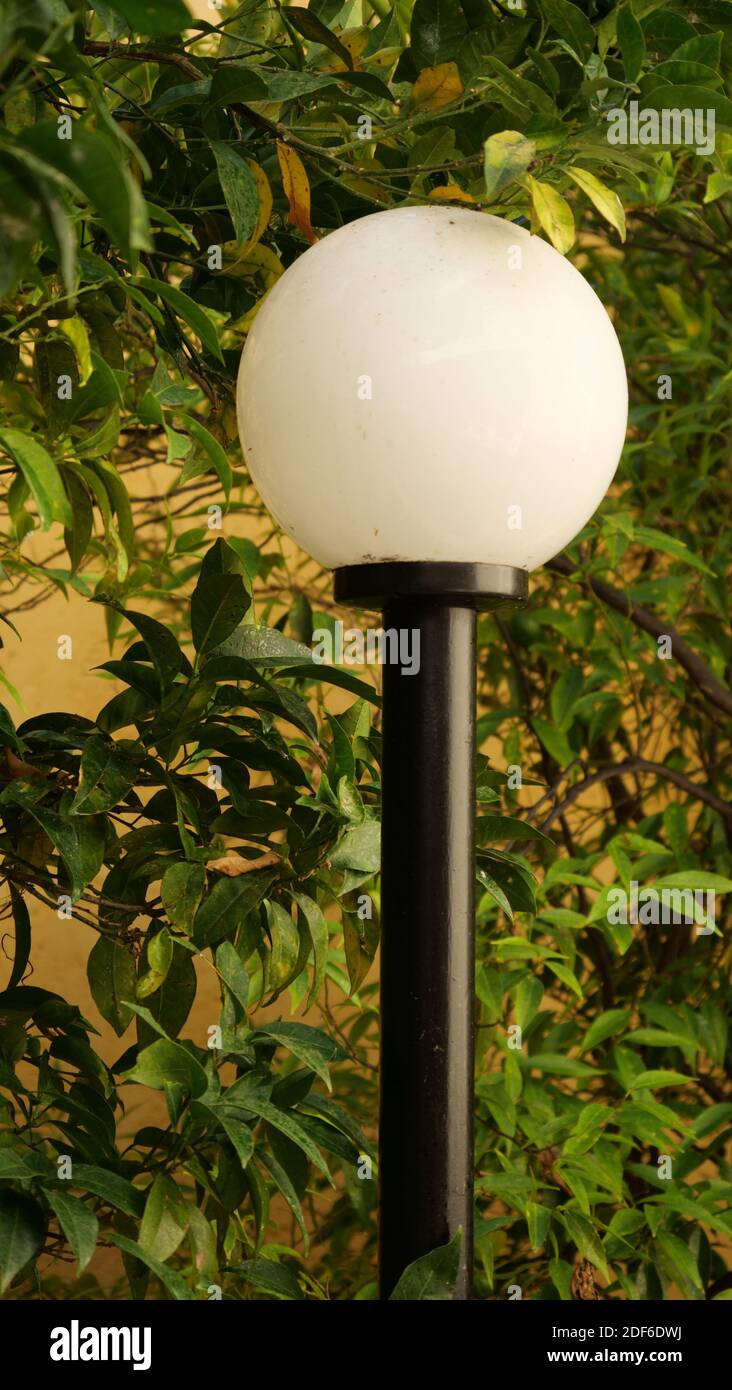 Un'immagine verticale di un palo luminoso con un tondo lampada su sfondo naturale Foto Stock