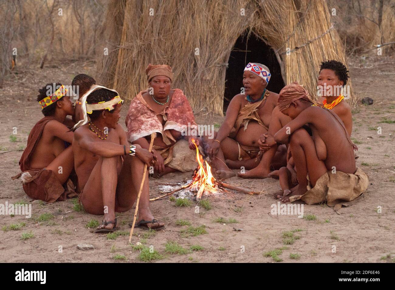 Gruppo di boscimani o san nel loro villaggio intorno ad un falò. Tsumkwe, Otjozondjupa, Kalahari, Namibia. Foto Stock