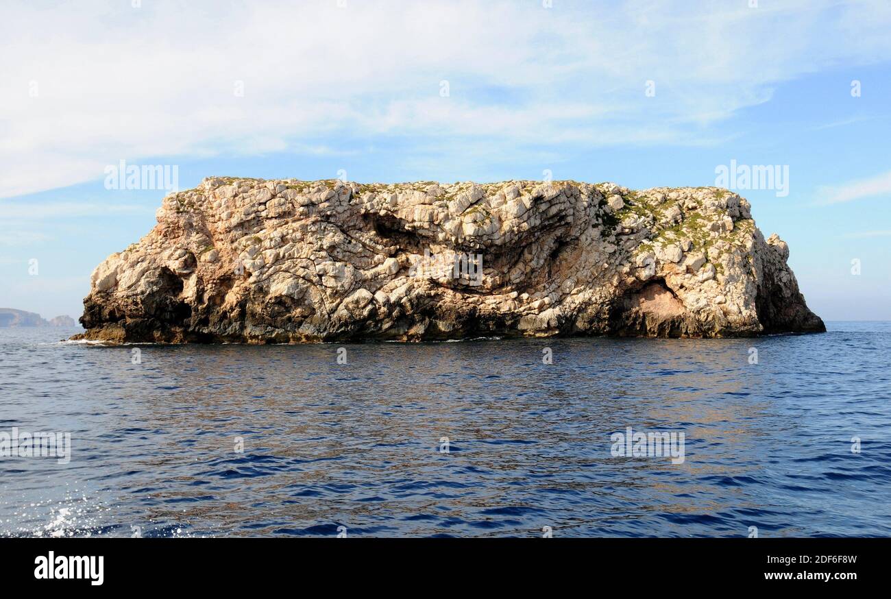 Parco Nazionale Arcipelago di Cabrera, Maiorca, Isole Baleari, Spagna. Foto Stock