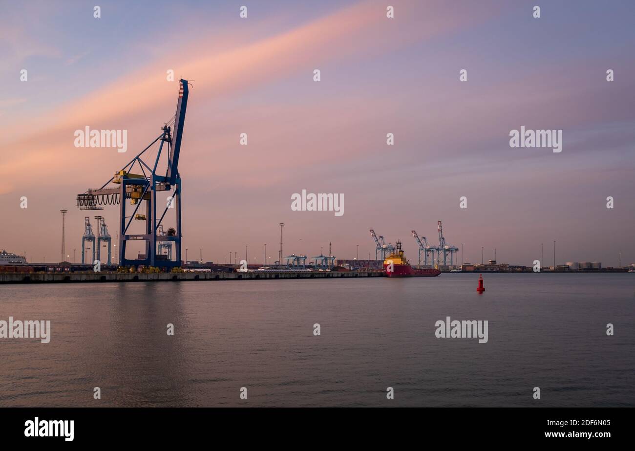 Terminal dei container nel porto di Zeebrugge al tramonto. Vista dalla piattaforma di osservazione vicino al monumento 'Vissers Foto Stock