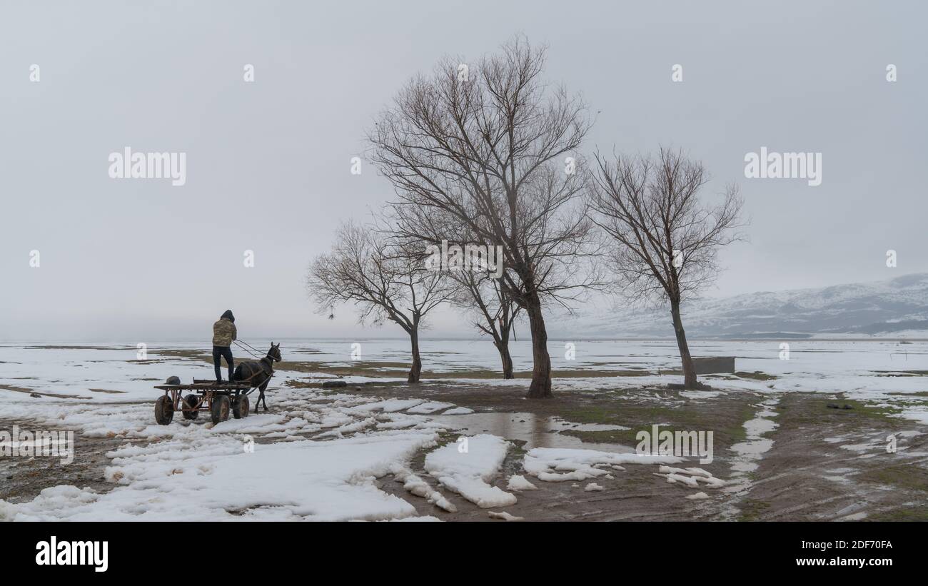 Bitlis, Turchia - Febbraio 2020: Uomo che cavalcano un carro con cavallo nel paesaggio innevato dell'Anatolia Orientale Foto Stock